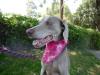Lucy Profile 2 (Medium)